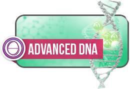 Aufbau DNA Berlin, Seminar Logo
