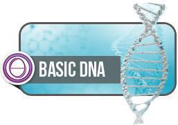 Theta Berlin - Basis DNA