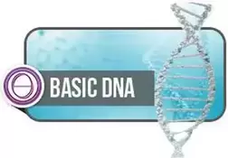ThetaHealing Basis DNA Berlin, Seminar Logo