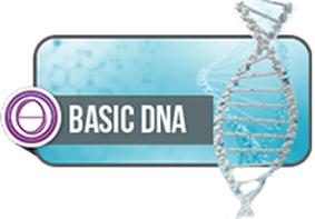 Basis DNA Theta Healing Ausbildung und Seminare